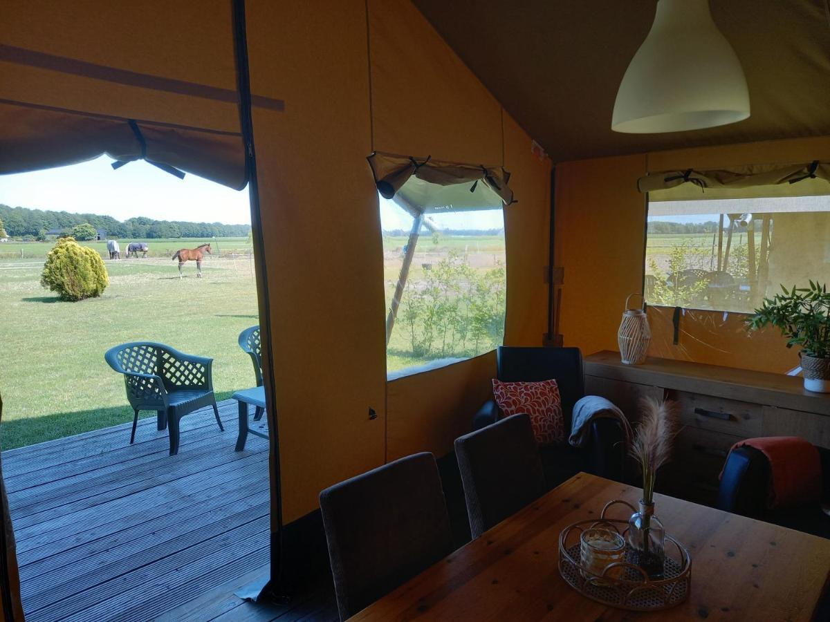 Comfort Safaritent 6 Pers En Mini Camping Zwiggelte 外观 照片